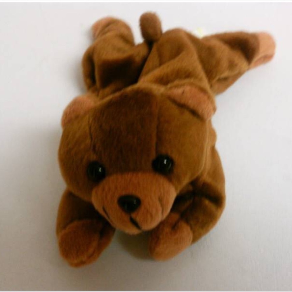 I looking for this guy Zangeen brown bear